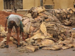 From cow hide to jacket