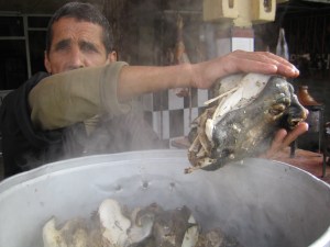 Morocco_2009-2010 039